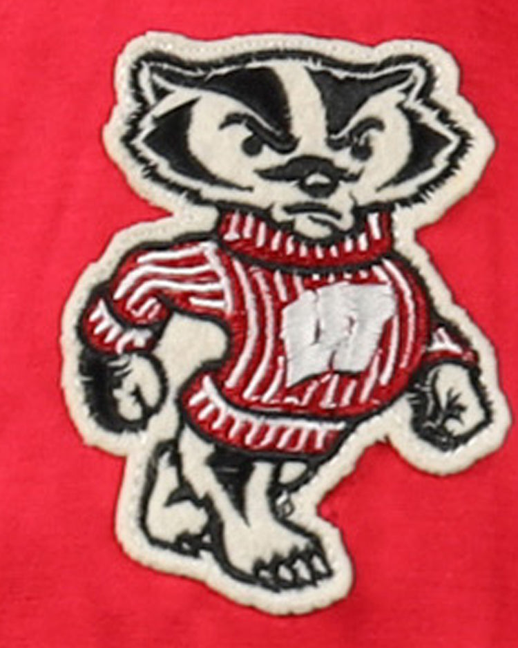 Add vintage flair to your University of Wisconsin Satin Windbreaker by EFF with an embroidered patch featuring a badger in a red and white striped sweater marked with a white W, set against a red background. Perfect for Badgers fans!.