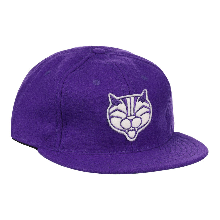 The EFF Northwestern University Mascot Vintage Ballcap is a purple hat with an embroidered white and gray cartoon cat face, inspired by a classic Wildcat design—perfect for fans of college sports mascots.
