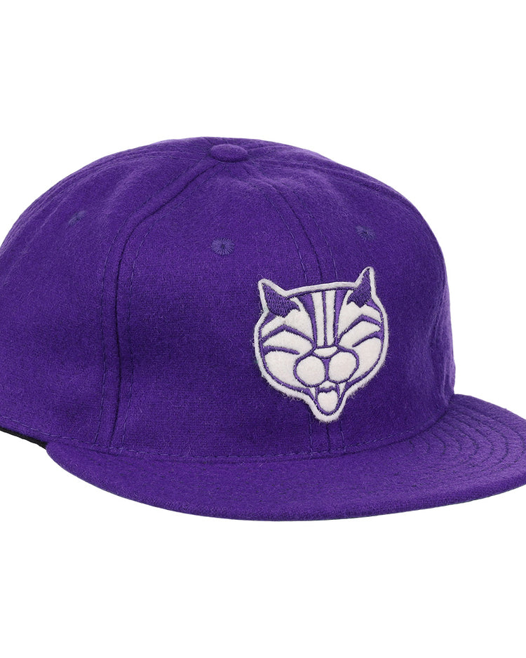 The EFF Northwestern University Mascot Vintage Ballcap is a purple hat with an embroidered white and gray cartoon cat face, inspired by a classic Wildcat design—perfect for fans of college sports mascots.