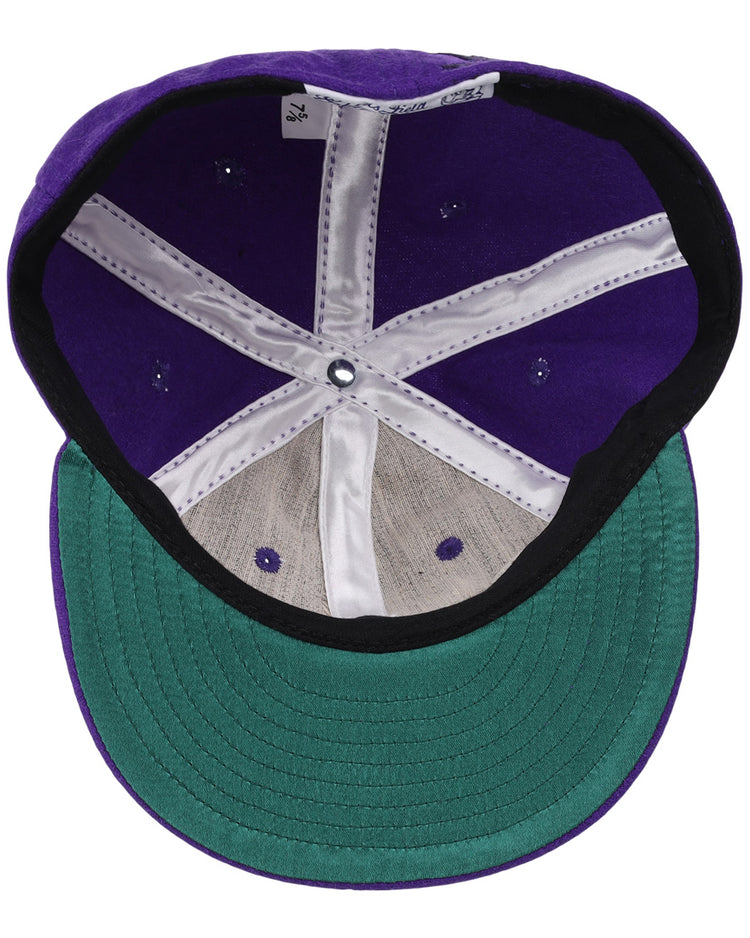 Interior of the EFF Northwestern University Mascot Vintage Ballcap: purple crown, green brim, black edge, white lining, visible stitching and ventilation holes—classic design inspired by the Wildcats.