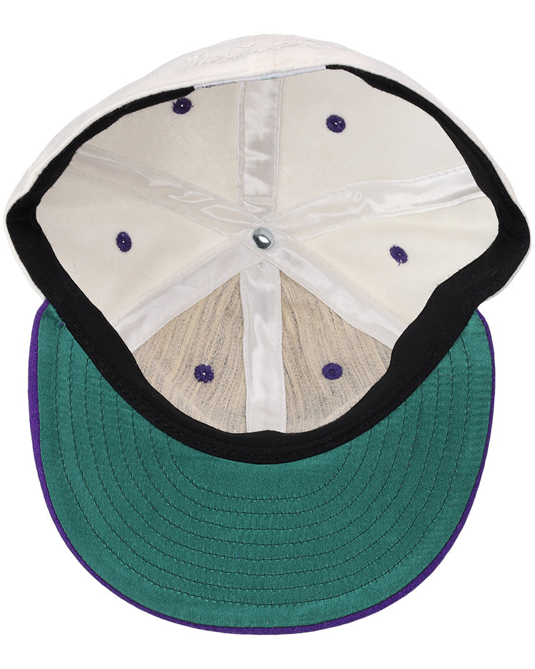 This image displays the inside of the EFF Northwestern University Vintage Ballcap, featuring a green brim, purple stitching, black sweatband, and white crown panels with six purple ventilation holes—a classic college baseball hat.