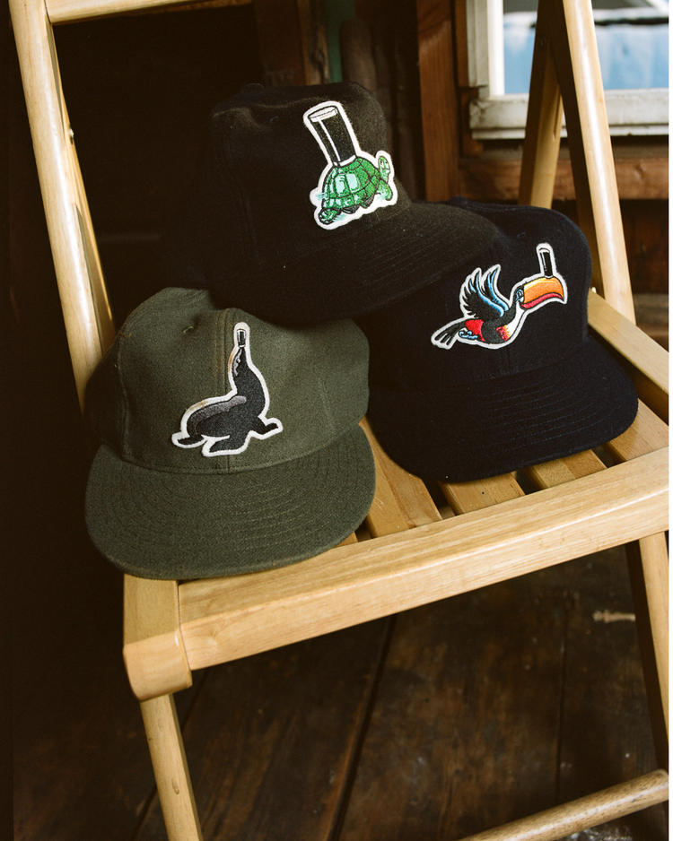 Three baseball caps sit on a wooden chair: an Ebbets Field Guinness Flying Toucan Authentic Wool Ballcap, a seal cap, and a cap with a bird and bat patch. The rustic scene includes wood floors and walls in the background.