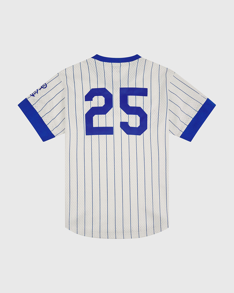 Inspired by the iconic Brooklyn Royal Giants, the Ebbets Field Brooklyn Royal Giants 1925 V-Neck Mesh Jersey features classic white fabric with blue pinstripes, blue sleeve cuffs and collar, and a bold number 25 printed in large blue font on the back. A signature detail adorns the left sleeve, making this a timeless piece of Negro Leagues apparel.