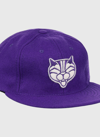 The EFF Northwestern University Mascot Vintage Ballcap is a purple hat with an embroidered white and gray cartoon cat face, inspired by a classic Wildcat design—perfect for fans of college sports mascots.