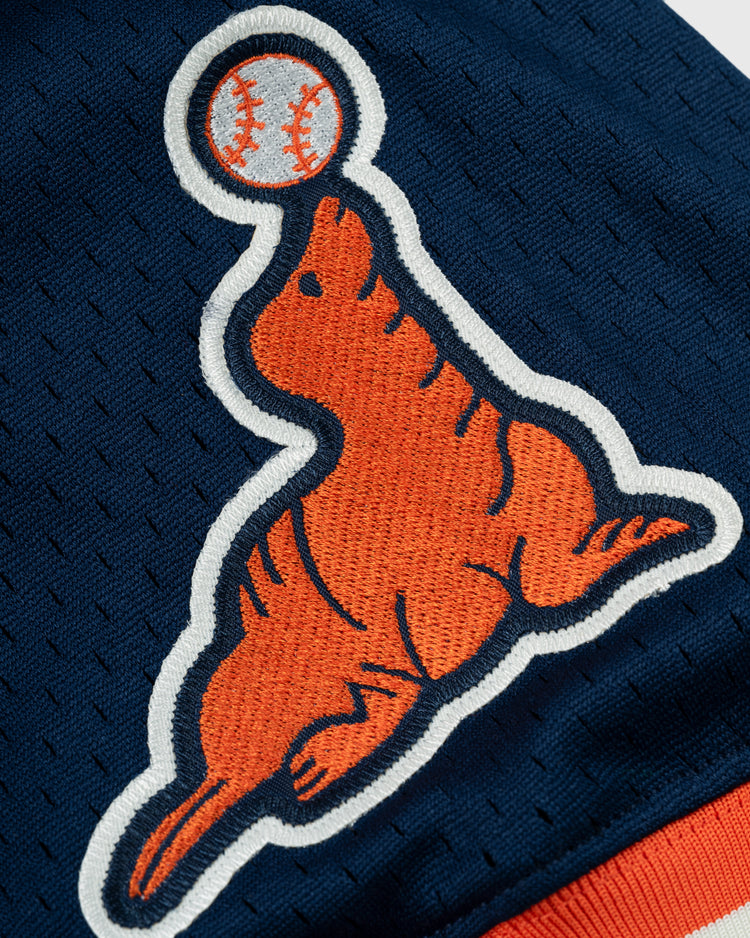 A close-up of an orange seal balancing a baseball, embroidered on navy blue polyester mesh, with white and navy trim—echoing the classic San Francisco Seals jersey. Product: EFF San Francisco Seals Mesh V-Neck Jersey.