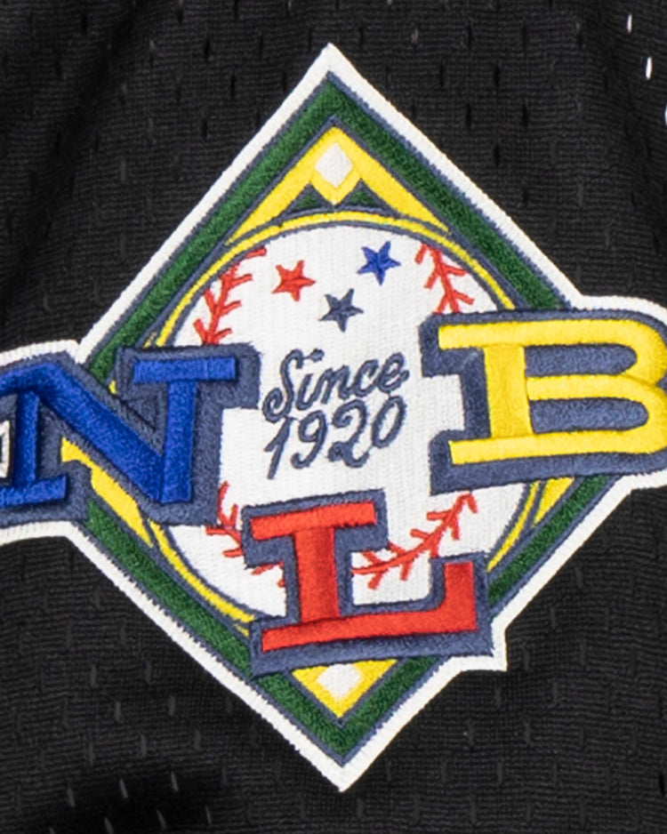 Add this embroidered diamond patch—featuring a baseball, Since 1920, and colorful N, L, B letters—to your EFF Negro League Allover Vintage Inspired NL Replica V-Neck Mesh Jersey (Black) for a classic look.